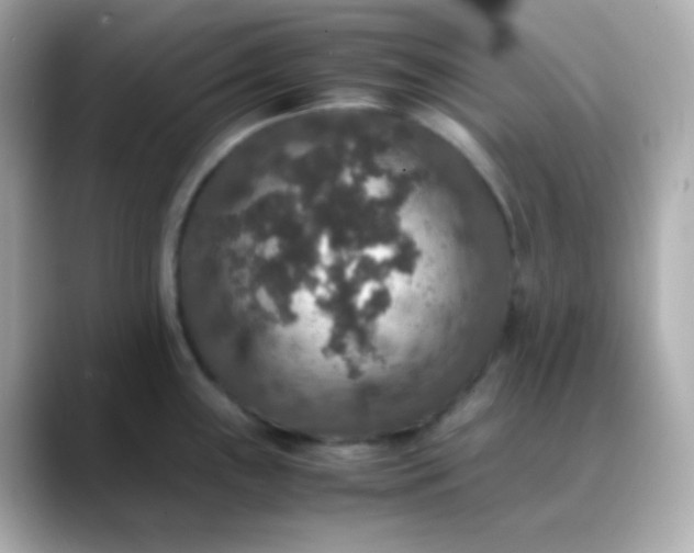 X0000088401243200706051130