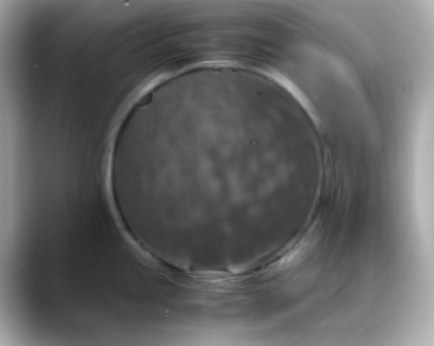 X0000088401245200706051130