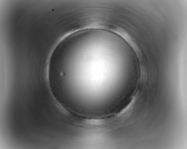 X0000088401246200706051130