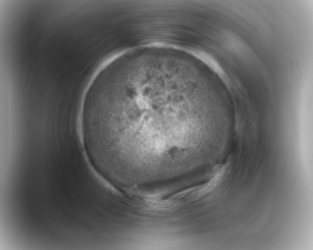 X0000088401247200706051130