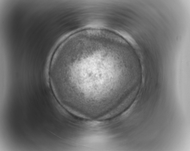 X0000088401248200706051130