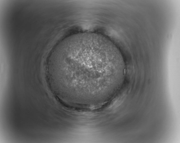 X0000088401249200706051129