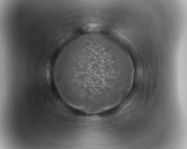 X0000088401250200706051129