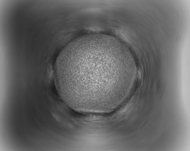 X0000088401251200706051129