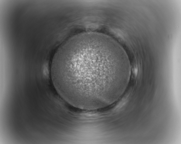 X0000088401252200706051129