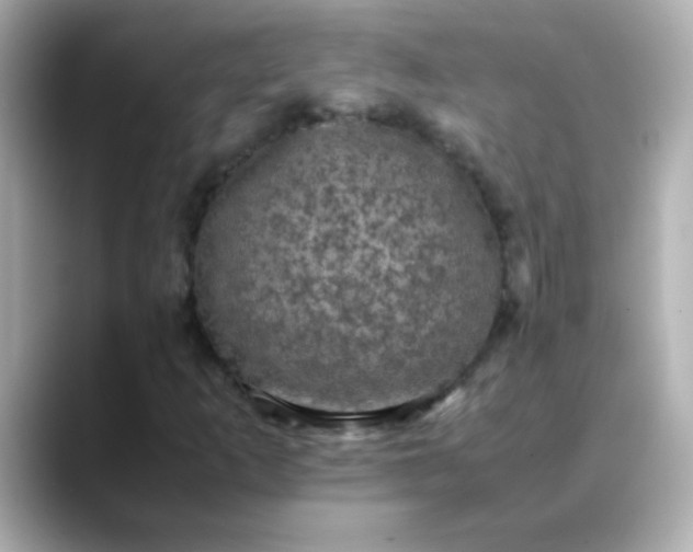 X0000088401253200706051129