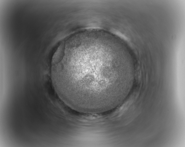 X0000088401255200706051129