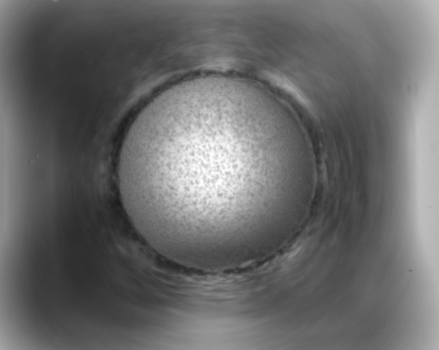 X0000088401256200706051129