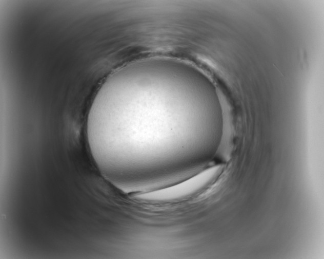 X0000088401257200706051129