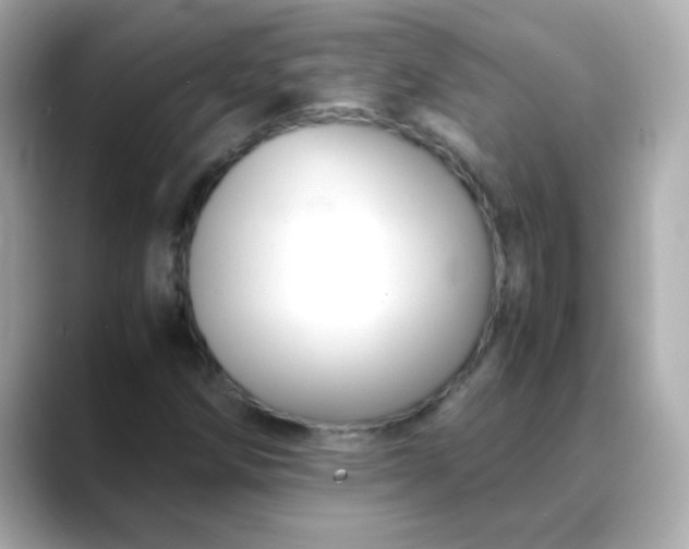 X0000088401258200706051129