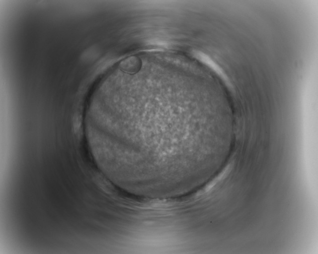 X0000088401259200706051129