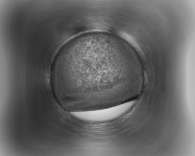 X0000088401260200706051129