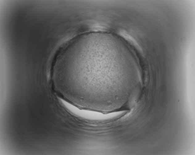 X0000088401261200706051129