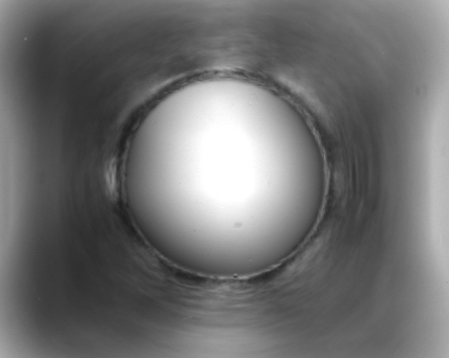 X0000088401262200706051129