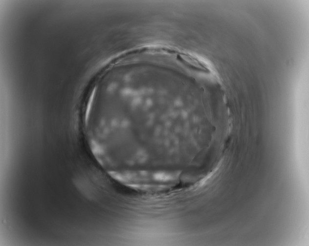 X0000088401263200706051129