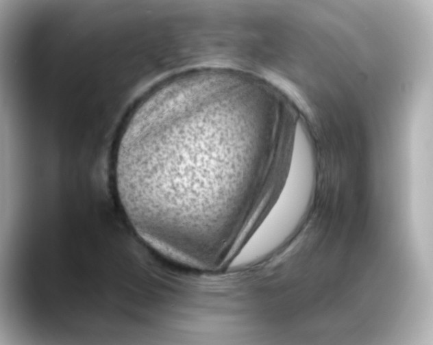 X0000088401264200706051129