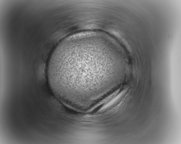 X0000088401265200706051129