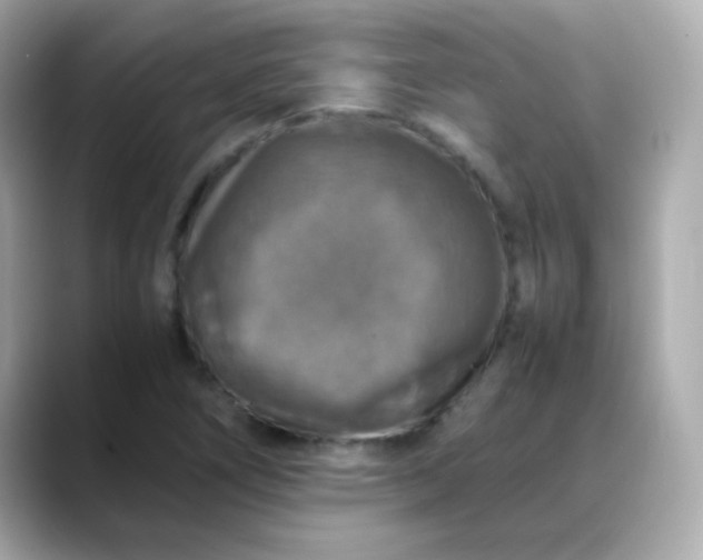 X0000088401266200706051129