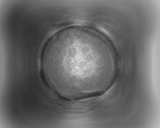 X0000088401267200706051129