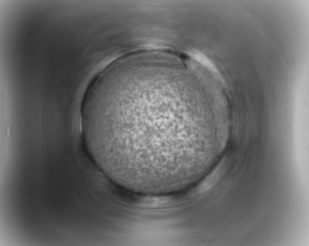 X0000088401269200706051129