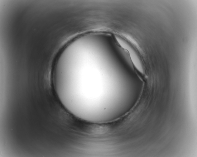 X0000088401270200706051129