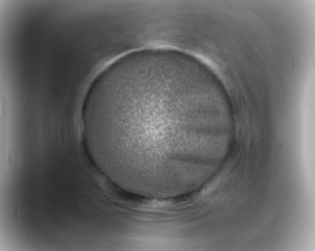 X0000088401271200706051129