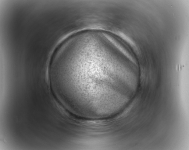 X0000088401272200706051129