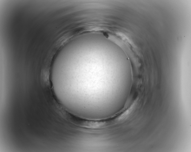 X0000088401273200706051129