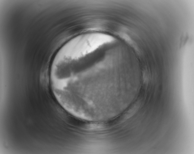 X0000088401274200706051129