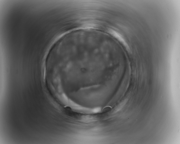 X0000088401275200706051129