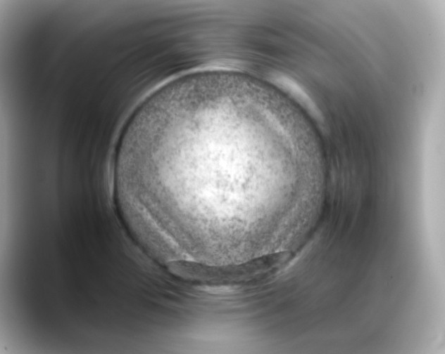 X0000088401276200706051129