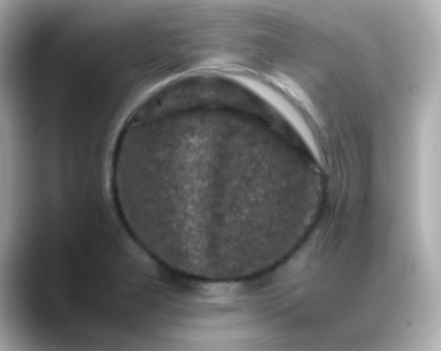 X0000088401277200706051129