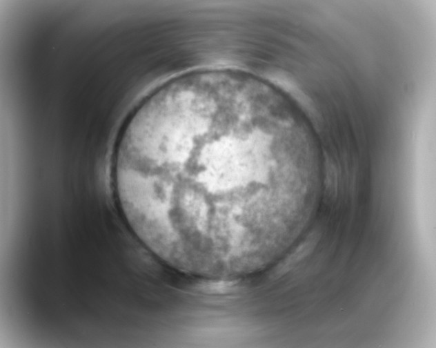 X0000088401278200706051129