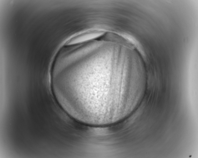 X0000088401280200706051129