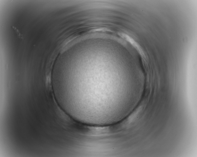 X0000088401281200706051129