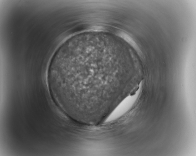 X0000088401283200706051129