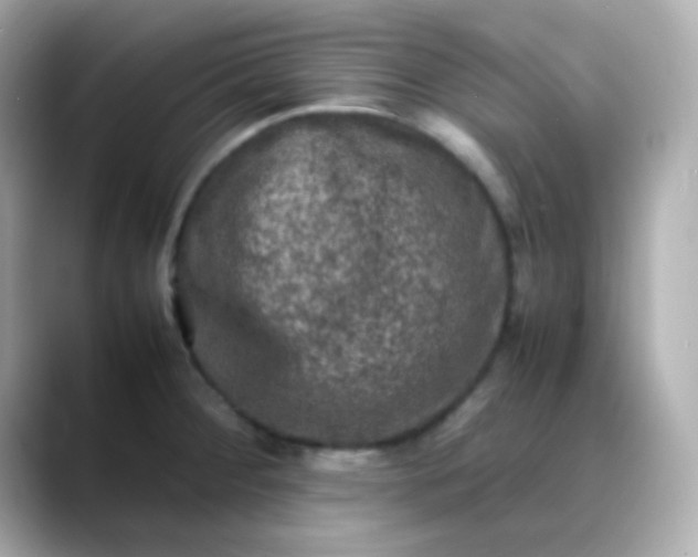 X0000088401284200706051129