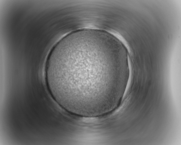 X0000088401285200706051129