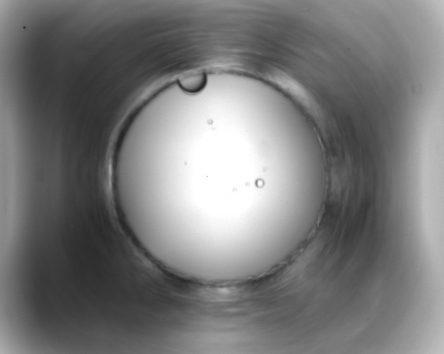 X0000088401286200706051129