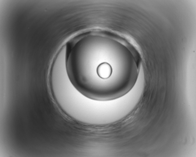 X0000088401287200706051129