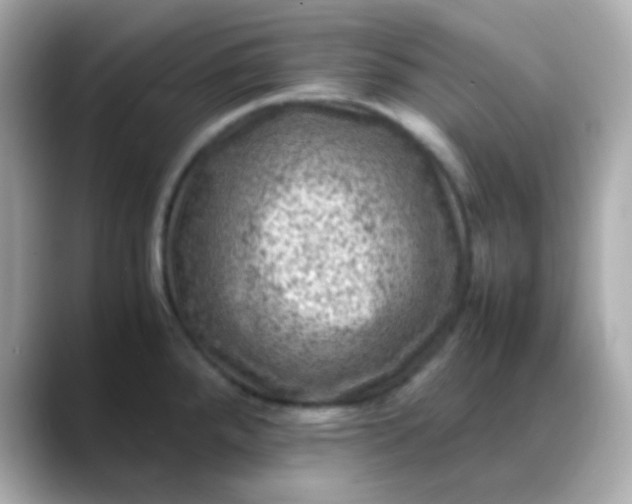 X0000088401288200706051129