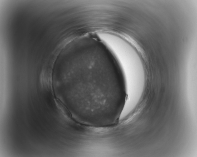 X0000088401289200706051129