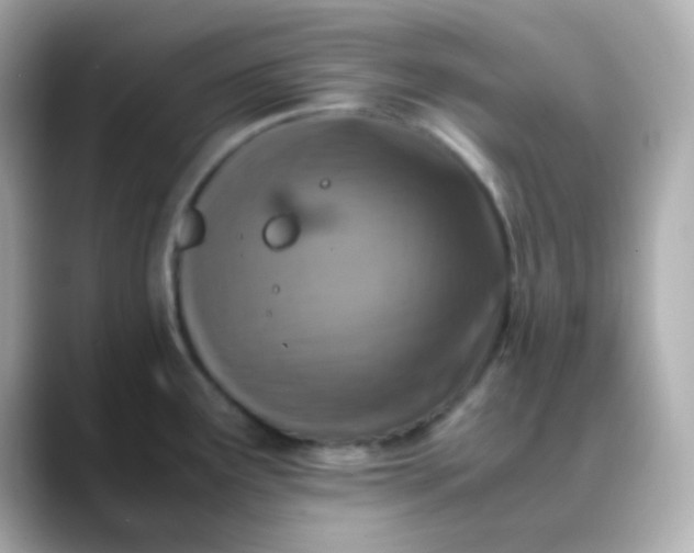 X0000088401291200706051129