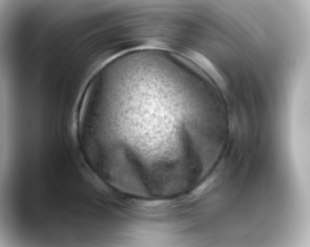 X0000088401292200706051129