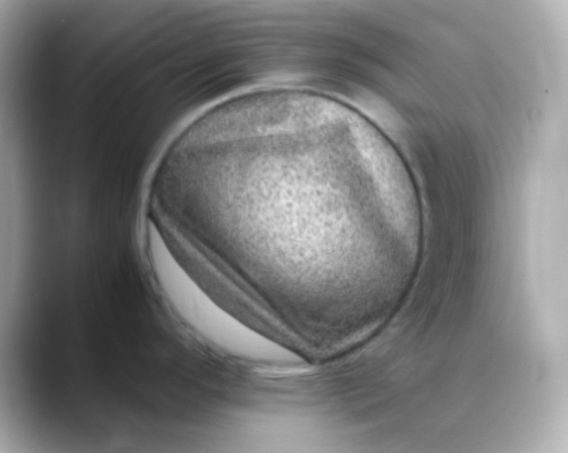 X0000088401296200706051129