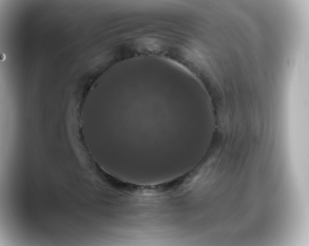 X0000088401297200706051128