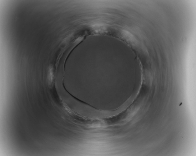 X0000088401298200706051128