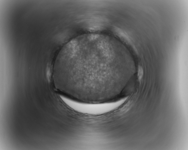 X0000088401300200706051128