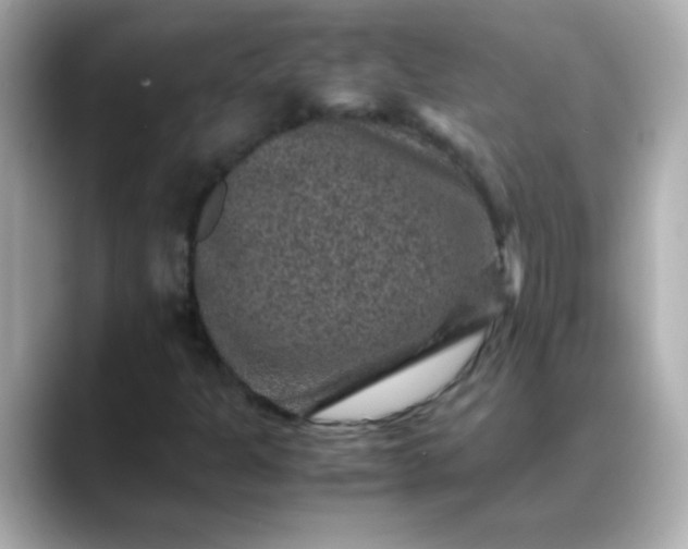 X0000088401301200706051128