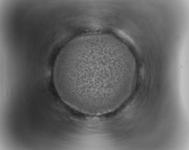 X0000088401302200706051128